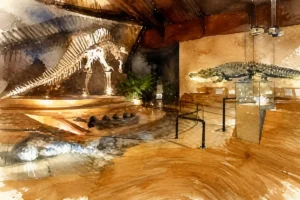 venice-natural-history-museum-watercolor (1)